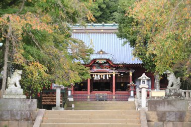 Güzel Japon tapınağı, Budizm konsepti