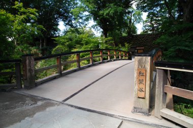 Tahta köprü küçük patikadan geçiyor.