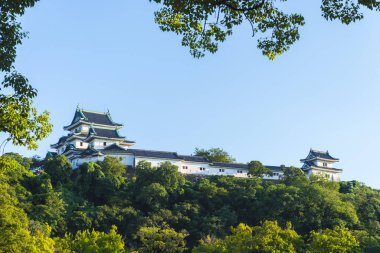 Güzel Japon tapınağı, Budizm konsepti