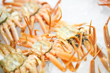 Deniz ürünleri pazarındaki yengeçler. 