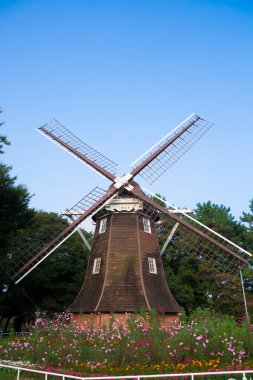 Tarihsel ahşap yel değirmeni açan kır çiçeklerinin arasında duruyor.
