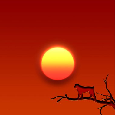  Gün doğumunda maymun silueti, yeni yıl konsepti