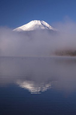Japonya 'daki Fuji Dağı' nın doğa manzarası
