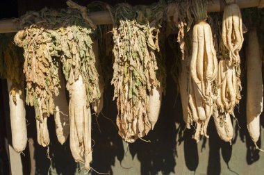 Daikon Turpları Korunmak İçin Kurumaya Asılı