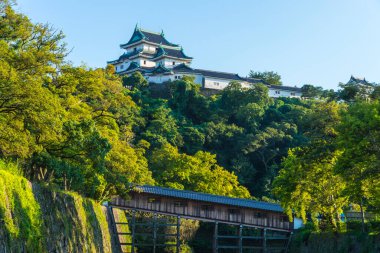 Wakayama Kalesi, tarihi Japon kalesi Wakayama Şehri, Wakayama Bölgesi, Japonya