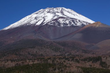 Japonya 'daki Fuji Dağı' nın doğa manzarası