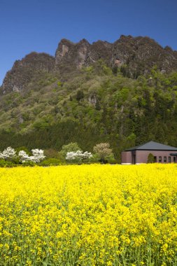 Dağlarda dağları olan güzel bir manzara.