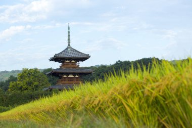 Scenic view of rice field with Hokiji Temple on background clipart