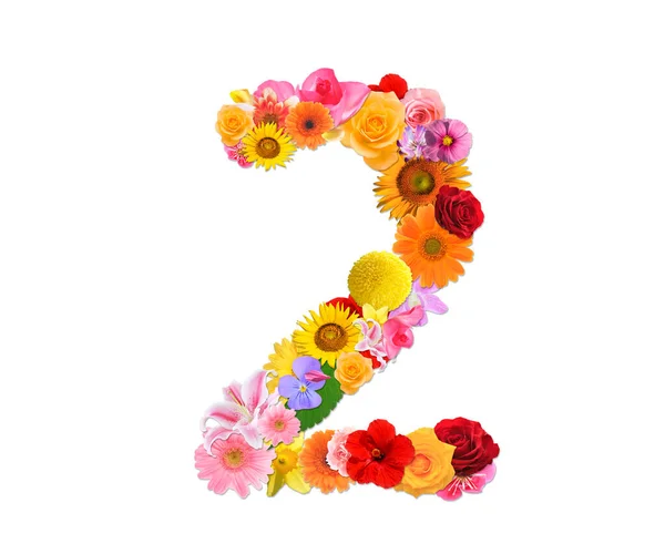 Nummer Från Färgglada Blommor Isolerad Vit Bakgrund Rendering — Stockfoto