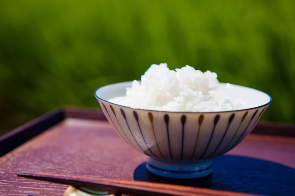 Frisch Gekochter Reis Serviert Einer Schüssel Mit Essstäbchen Und Grünem — Stockfoto