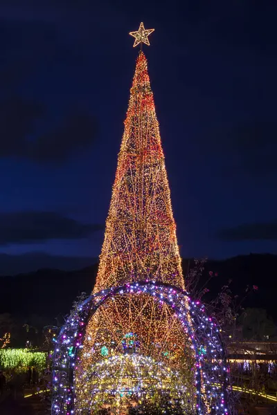 Park ışıklarıyla aydınlatılmış noel ağacı.