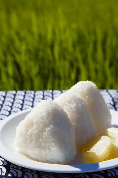Klebriger Reis Weißen Teller Vor Dem Feld — Stockfoto
