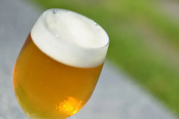 Glas Bier Auf Verschwommenem Hintergrund — Stockfoto