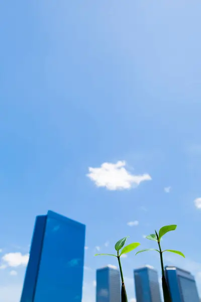 green plants and modern buildings against blue sky background