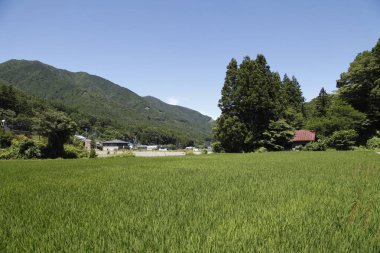 Yeşil dağ ve mavi gökyüzündeki köy 