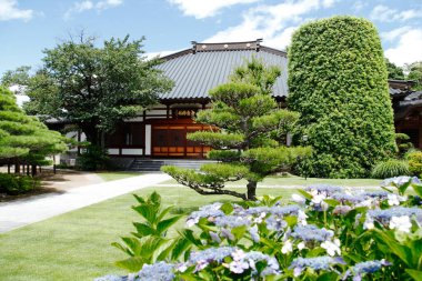 Güzel Japon tapınağı, Budizm konsepti