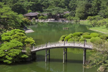 Ağaçlar ve bitkilerle çevrili güzel bir su görüntüsü. 