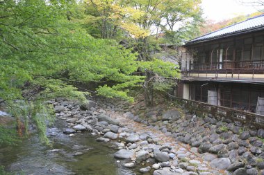 Yeşil ormandaki nehrin yanındaki küçük köy. 