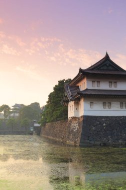  Japon tarzı kale Tokyo İmparatorluk Sarayı 'nda yer almaktadır.