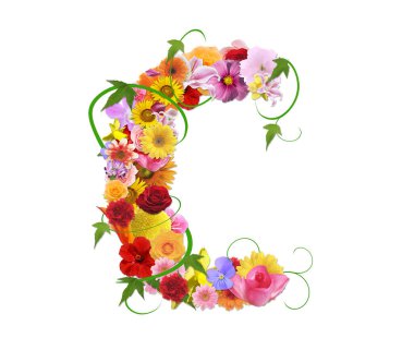 Beyaz arkaplanda izole edilmiş renkli çiçeklerden gelen C harfi, 3D görüntüleme 