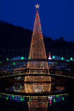 Park ışıklarıyla aydınlatılmış noel ağacı.