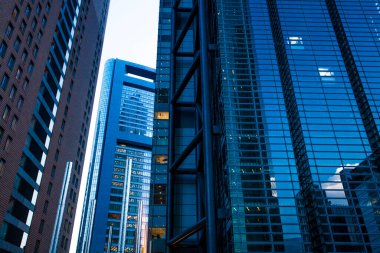 Alacakaranlıktaki yüksek binalar - Shinjuku, Tokyo, Japonya Tokyo istasyonu