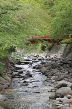 Çürük yeşil ağaçların ve kırmızı köprünün altında akan kayalık akarsu