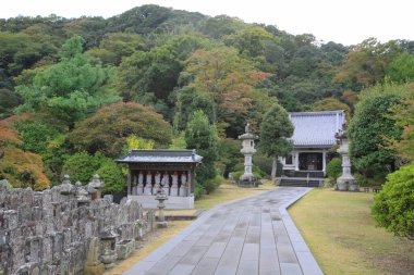 Taş patika huzurlu Japon tapınağı bahçesinden geçiyor.
