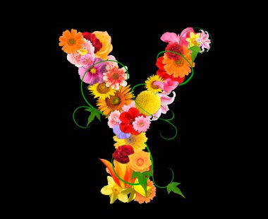 Siyah arkaplanda izole edilmiş renkli çiçeklerden gelen Y harfi, 3D görüntüleme 