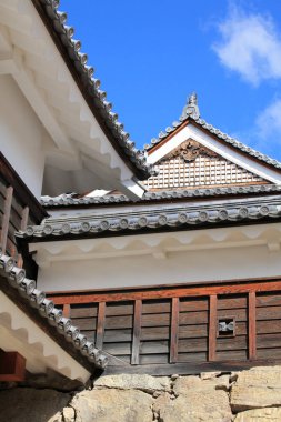 Ahşap kirişler ve fayanslı çatılar içeren geleneksel mimari