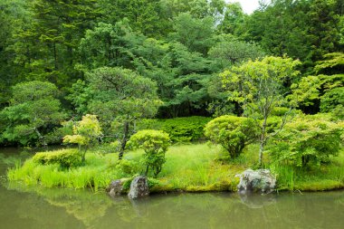 Yaz parkında yeşil ağaçları ve çalıları olan bir gölet. 