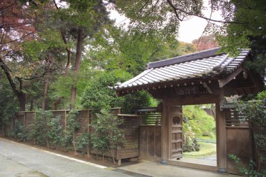 Geleneksel ahşap kapı yemyeşil yapraklarla çevrili.