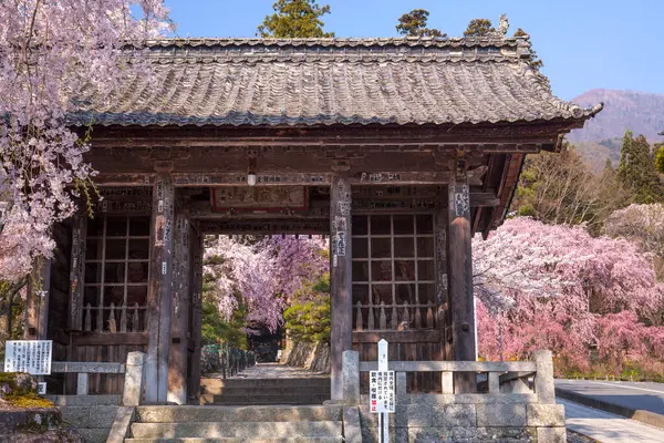 Kyoto Kiraz Çiçeği Sakura Japonya — Stok fotoğraf