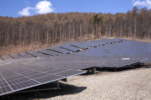 Solar Panels Middle Forest — Stock Photo, Image
