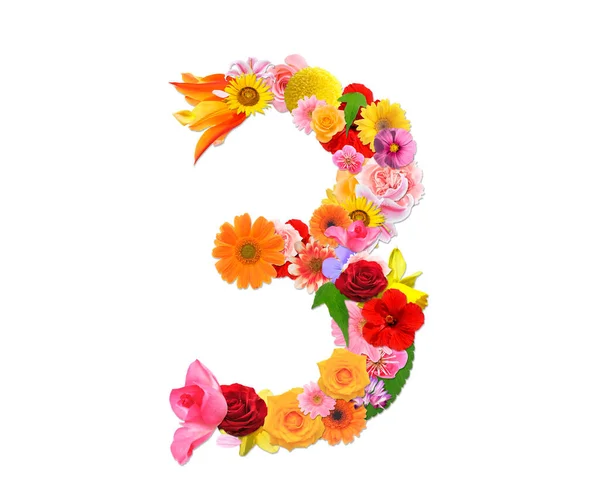 Nummer Från Färgglada Blommor Isolerad Vit Bakgrund Rendering — Stockfoto