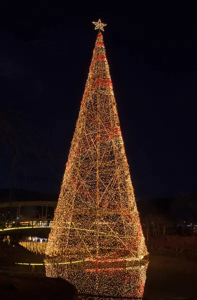 Árvore Natal Iluminada Com Luzes Parque — Fotografia de Stock