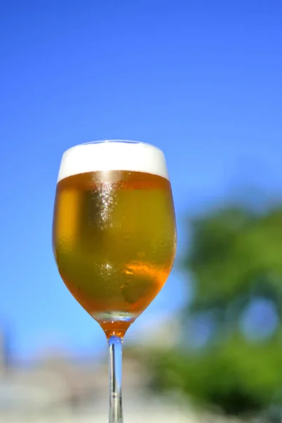 Glas Bier Auf Naturhintergrund — Stockfoto