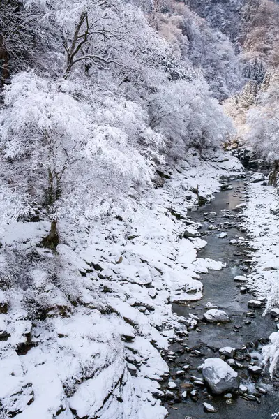 Donmuş Nehirli Kış Manzarası — Stok fotoğraf