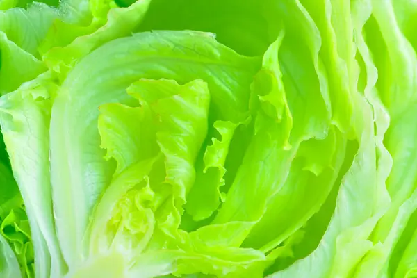 Nahaufnahme Von Grünen Frischen Salatblättern Auf Dem Hintergrund — Stockfoto