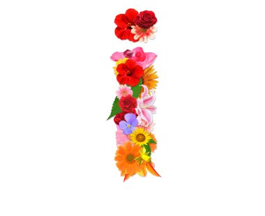 Beyaz arka planda izole edilmiş renkli çiçeklerden mektup yazıyorum. 