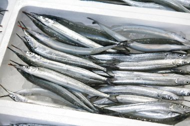 Deniz ürünleri pazarında çiğ balık. 