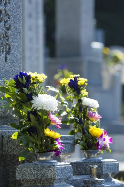 güzel çiçekler, görünümü kapatın