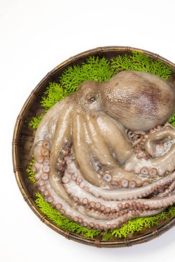 Beyaz arka planda bambu kasesinde taze çiğ ahtapot manzarası. 