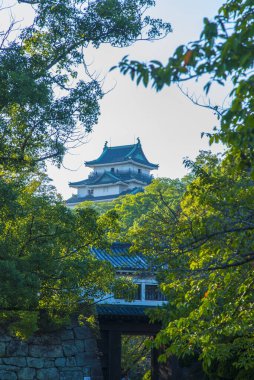 Tapınak manzarası, geleneksel Japon mimarisi.