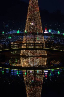 Park ışıklarıyla aydınlatılmış noel ağacı.