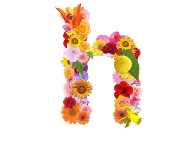 Beyaz arkaplanda izole edilmiş renkli çiçeklerden gelen H harfi, 3D görüntüleme 