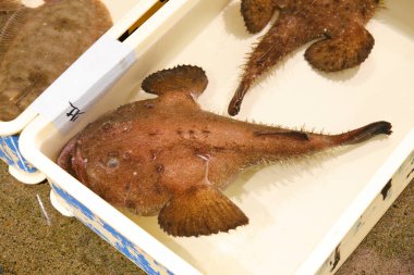 Deniz ürünleri pazarında çiğ balık. 