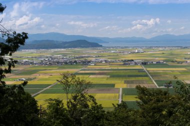 Japonya 'da güzel tarlaları olan kırsal alan manzarası.
