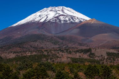 Japonya 'daki Fuji Dağı' nın doğa manzarası