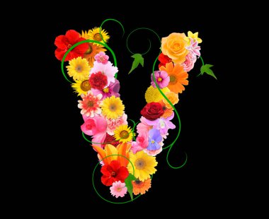 Siyah arkaplanda izole edilmiş renkli çiçeklerden gelen V harfi, 3D görüntüleme 